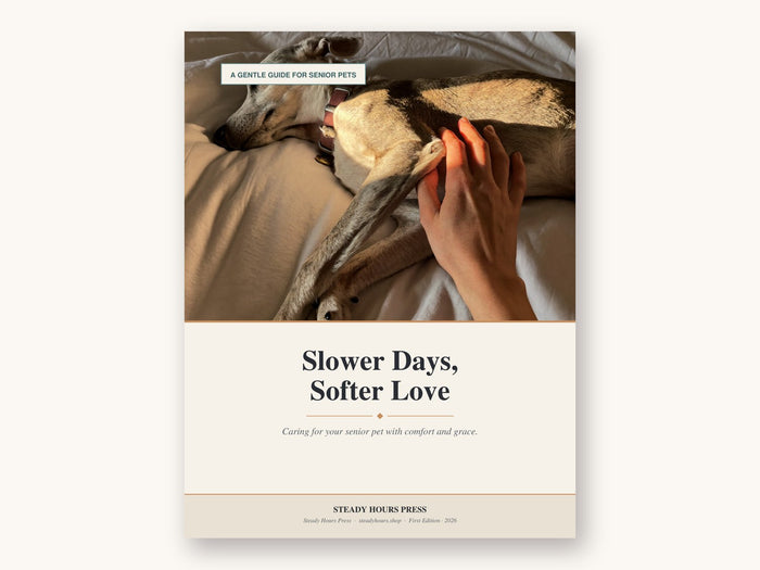 Slower Days, Softer Love